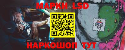 гашик Будённовск