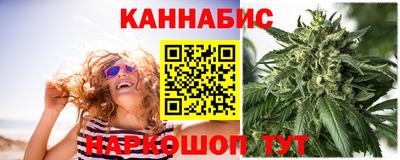 гашик Будённовск